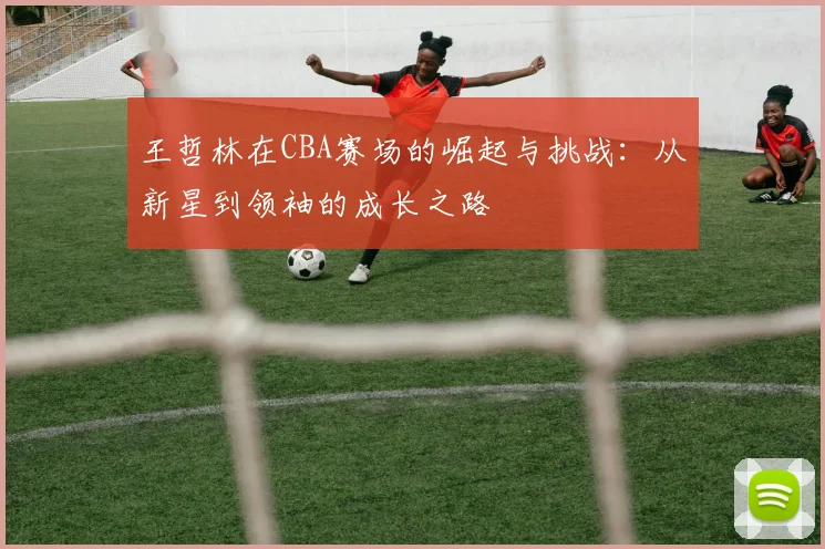 王哲林在CBA赛场的崛起与挑战：从新星到领袖的成长之路