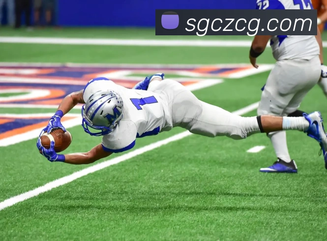 悟空体育APP 封面图