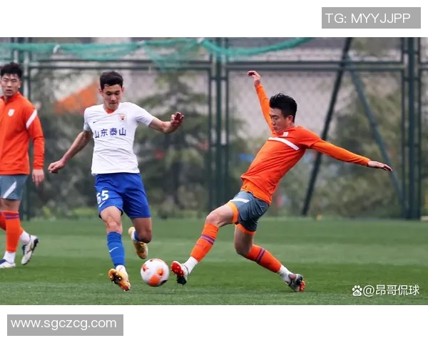 篮网与公牛激战301场赛季关键对决引发球迷热议